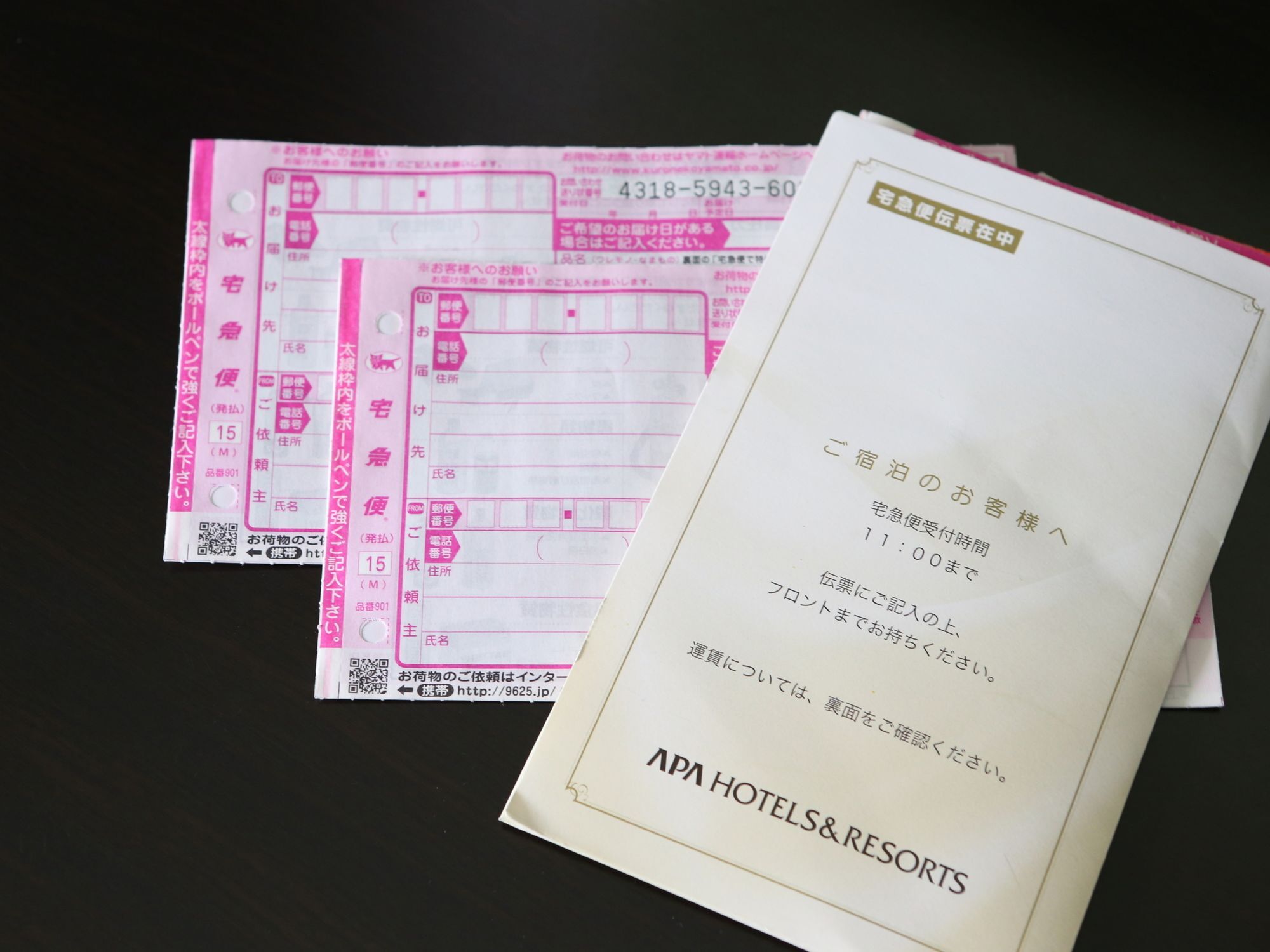 Apa Ekimae Ohashi Hotel